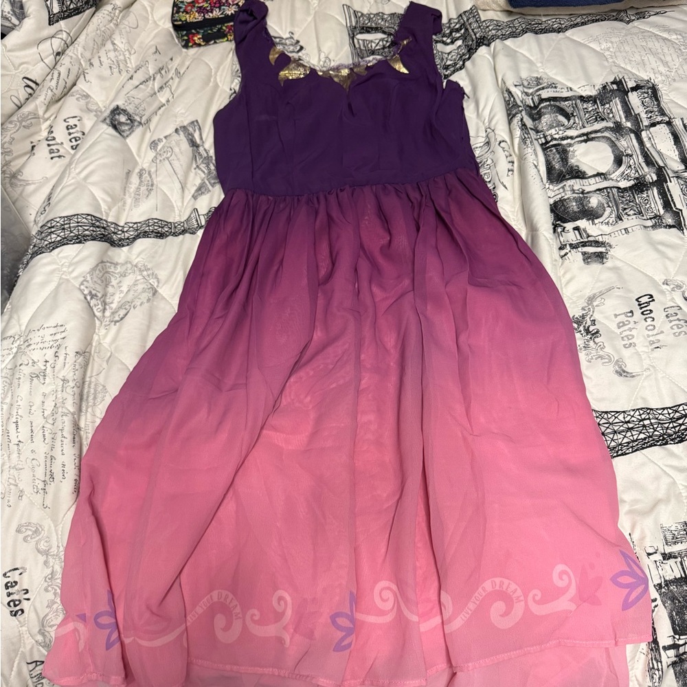 Hot Topic Purple to Pink Ombre Dress with Gold Accent